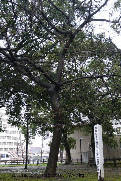 熊本市花畑公園