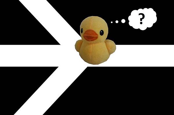 元寶笨笨不知道要走哪裡