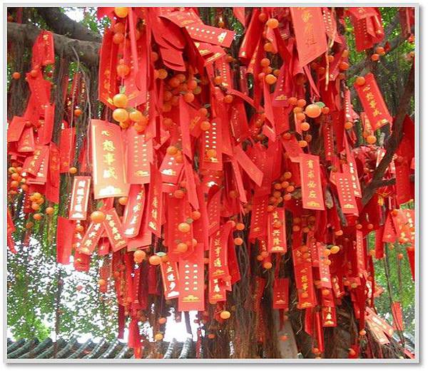 我也想許願,今年底我要去日本玩!