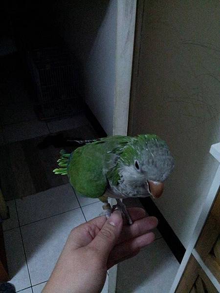 10877469_914012415283152_1700365966_n