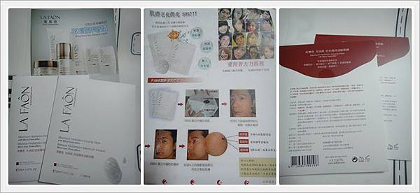 cat123s.jpg cat123s.jpg