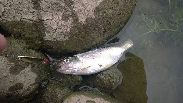 WP_20140428_13_19_43_Pro