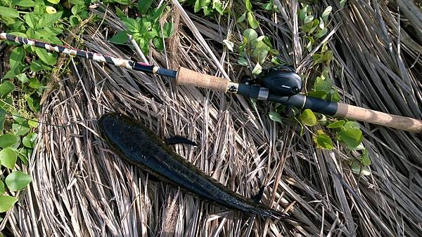 WP_20140508_16_04_29_Pro