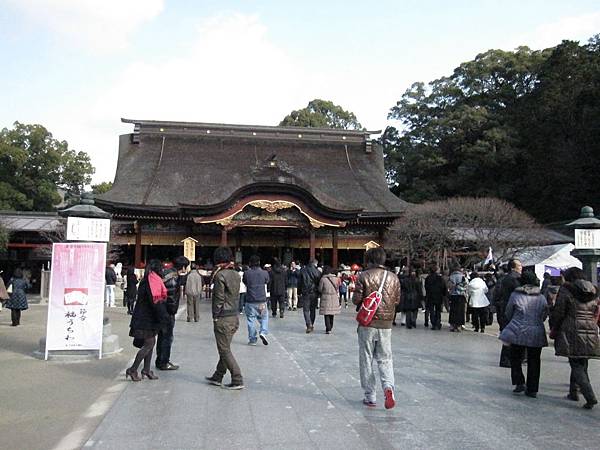IMG_7456 IMG_7456
