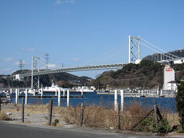 IMG_7950 IMG_7950