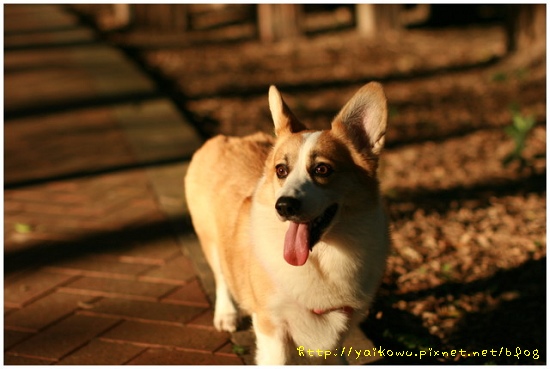 樂飛逛公園.jpg