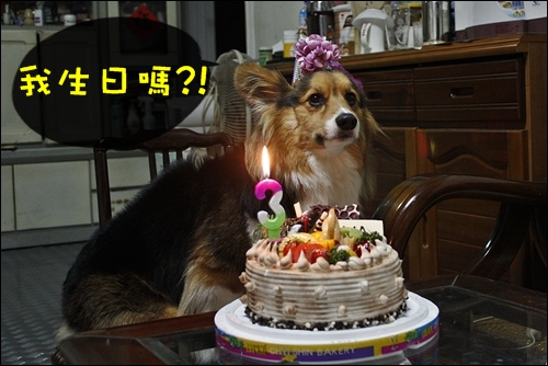 _MG_3759.JPG _MG_3759.JPG