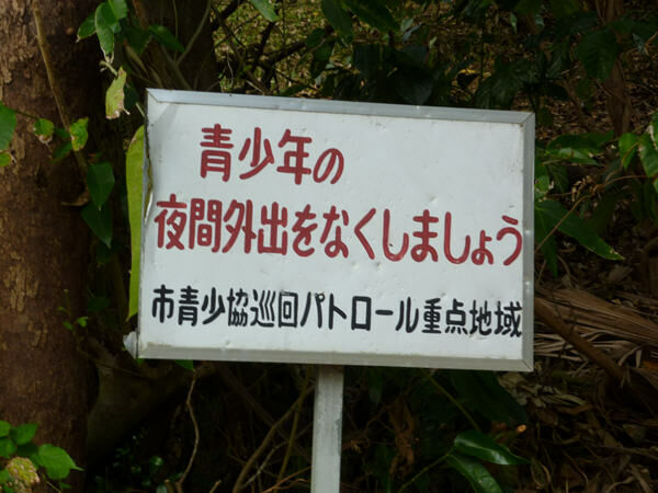 P1030191.jpg P1030191.jpg