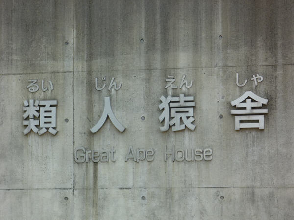 P1090915.jpg P1090915.jpg