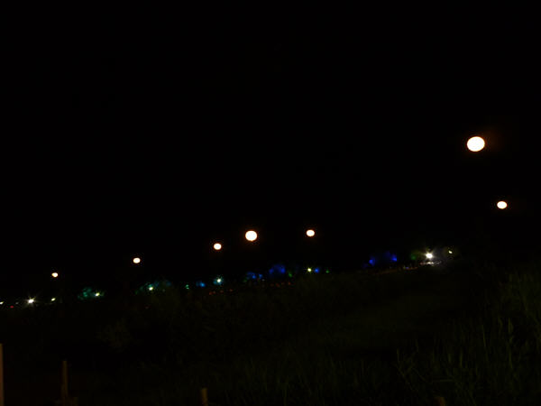 P1150008.jpg P1150008.jpg