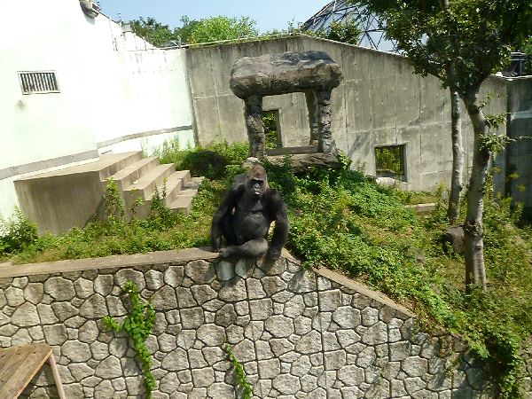福岡P1190544 福岡P1190544