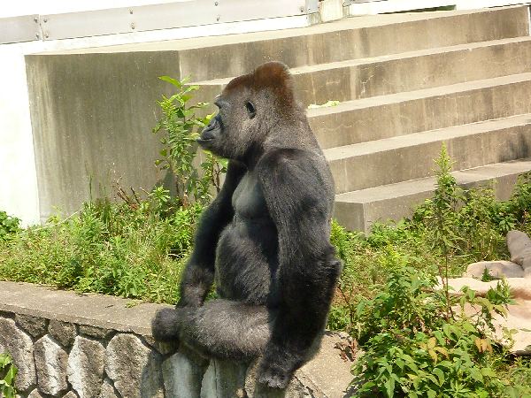 福岡P1190541 福岡P1190541