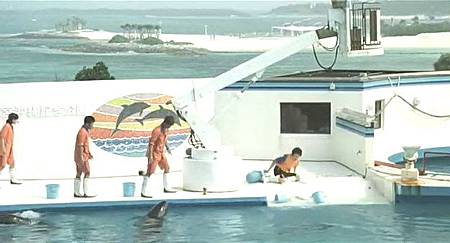 Dolphin Blue01.jpg Dolphin Blue01.jpg