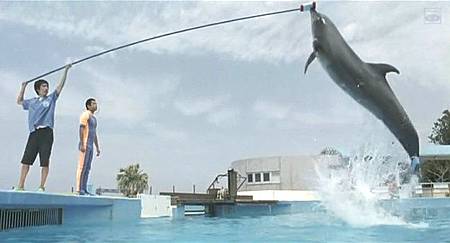 Dolphin Blue04.jpg Dolphin Blue04.jpg