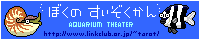 僕の水族館 僕の水族館