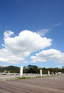 木棧道與藍天