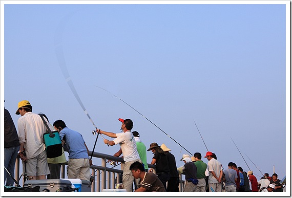 釣虱目魚囉 釣虱目魚囉