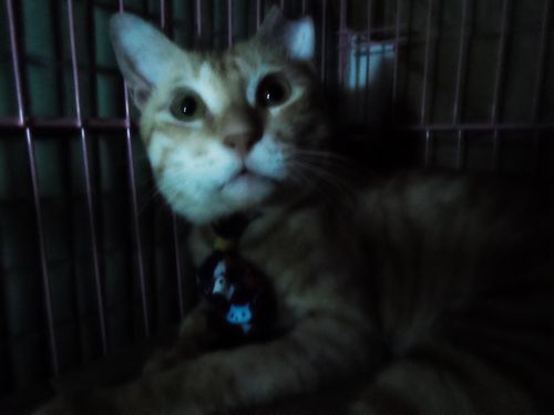 2013/10/2-(2) 2013/10/2-(2)