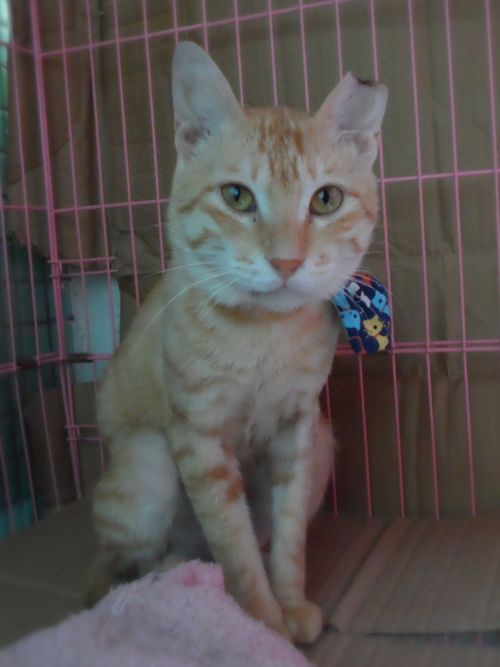 2013/10/3-(1) 2013/10/3-(1)