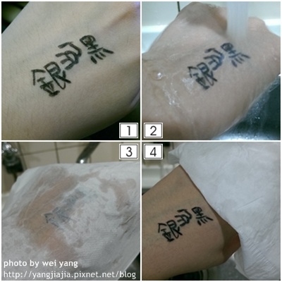 cats3 試用