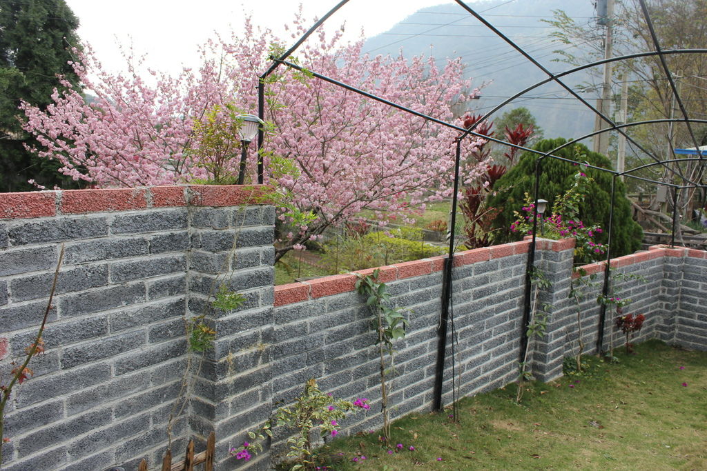 IMG_4839 IMG_4839