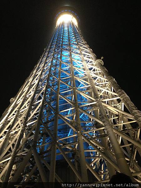 夜晚的skytree