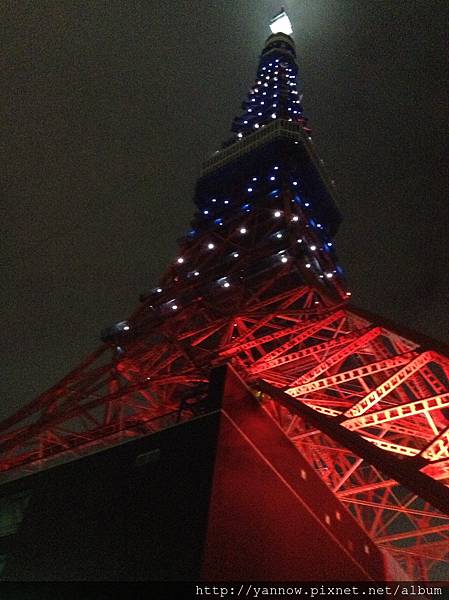 仰望東京鐵塔
