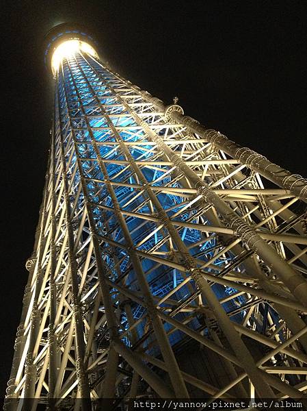 夜晚的skytree