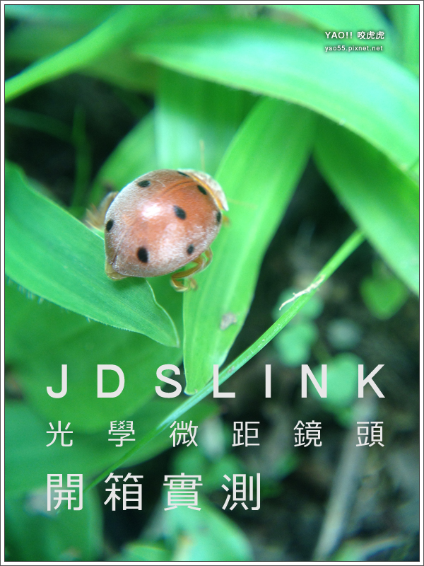 jDSlink-光學微距鏡頭 開箱實測 jDSlink-光學微距鏡頭 開箱實測