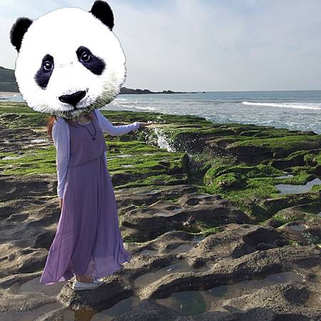 IMG_6940.JPG IMG_6940.JPG