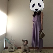 IMG_6942.JPG IMG_6942.JPG