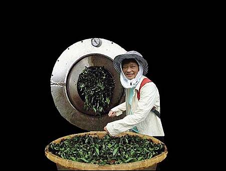 殺青與乾燥 殺青與乾燥