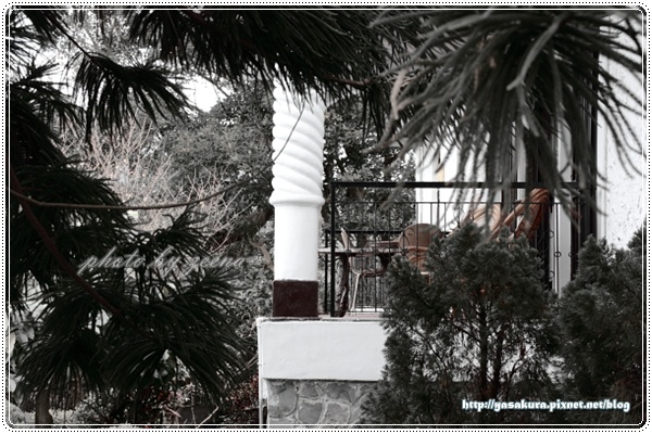 IMG_8985.JPG IMG_8985.JPG