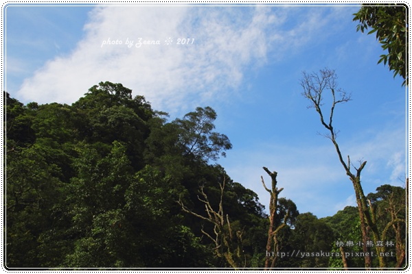 IMG_2273.JPG IMG_2273.JPG