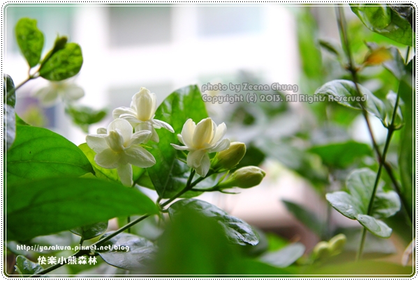 20130620_0094 20130620_0094