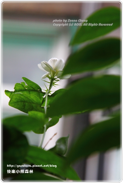 20130620_0093 20130620_0093