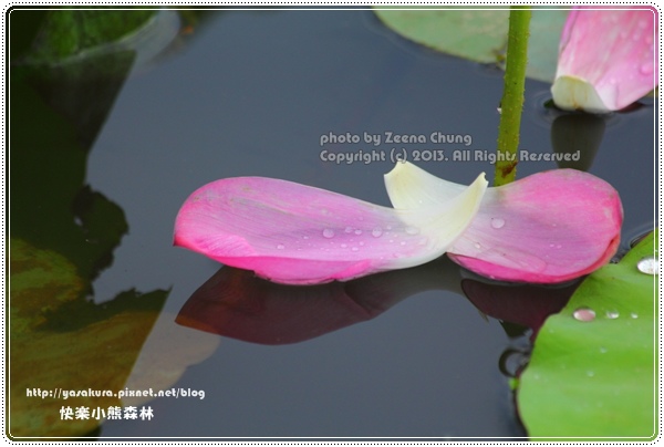 130714_亞馬遜_0048.JPG 130714_亞馬遜_0048.JPG