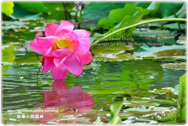 130714_亞馬遜_0072.JPG 130714_亞馬遜_0072.JPG