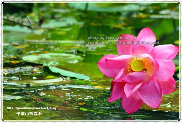 130714_亞馬遜_0065.JPG 130714_亞馬遜_0065.JPG