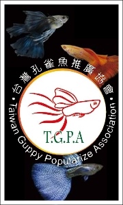 台灣孔雀魚推館協會粉絲專頁