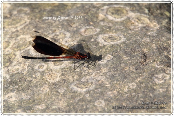 IMG_2280.JPG IMG_2280.JPG