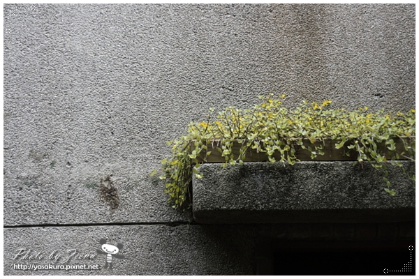 IMG_6079.JPG IMG_6079.JPG