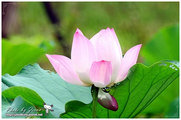 IMG_6064.JPG IMG_6064.JPG