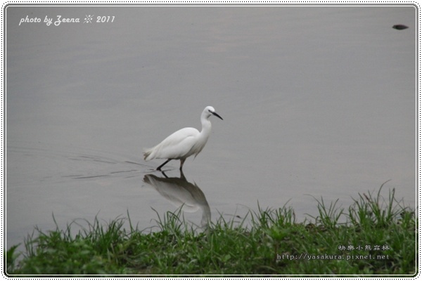 IMG_0894.JPG IMG_0894.JPG