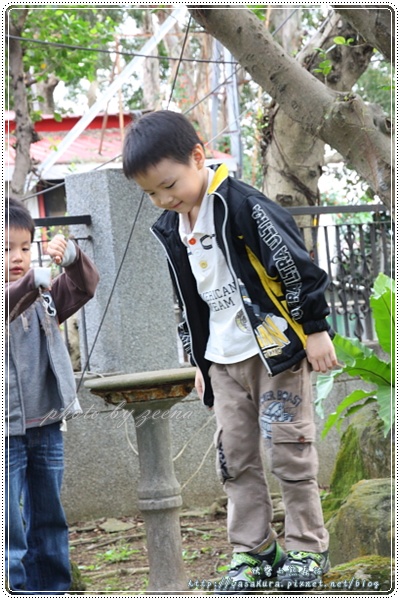 IMG_9029.JPG IMG_9029.JPG