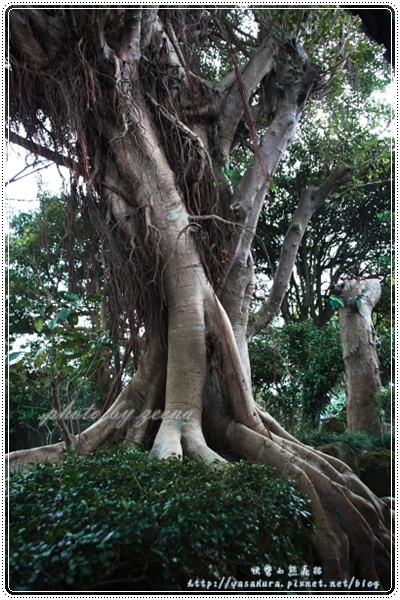 IMG_8998.JPG IMG_8998.JPG