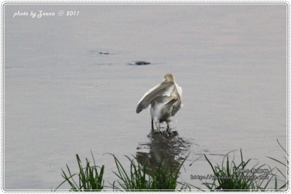 IMG_0883.JPG IMG_0883.JPG