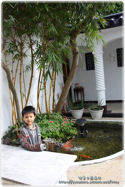 IMG_9001.JPG IMG_9001.JPG