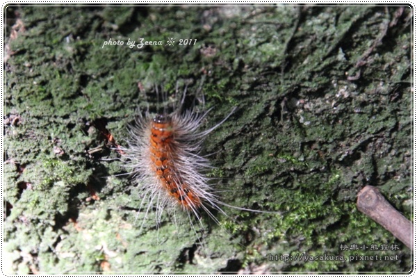 IMG_2269.JPG IMG_2269.JPG