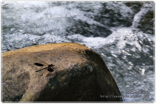 IMG_2274.JPG IMG_2274.JPG